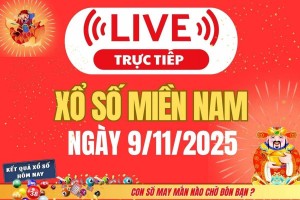 TRỰC TIẾP: Kết quả Xổ số miền Nam hôm nay 9/11/2025 - XSMN 9/11