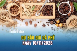 Dự báo giá cà phê 10/11: Cà phê trong nước và thế giới tiếp tục tăng mạnh
