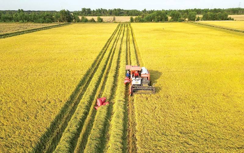 Miễn thuế sử dụng đất nông nghiệp đến hết năm 2030