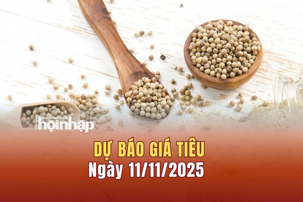 Dự báo giá tiêu 11/11: Tiêu trong nước và thế giới tăng mạnh