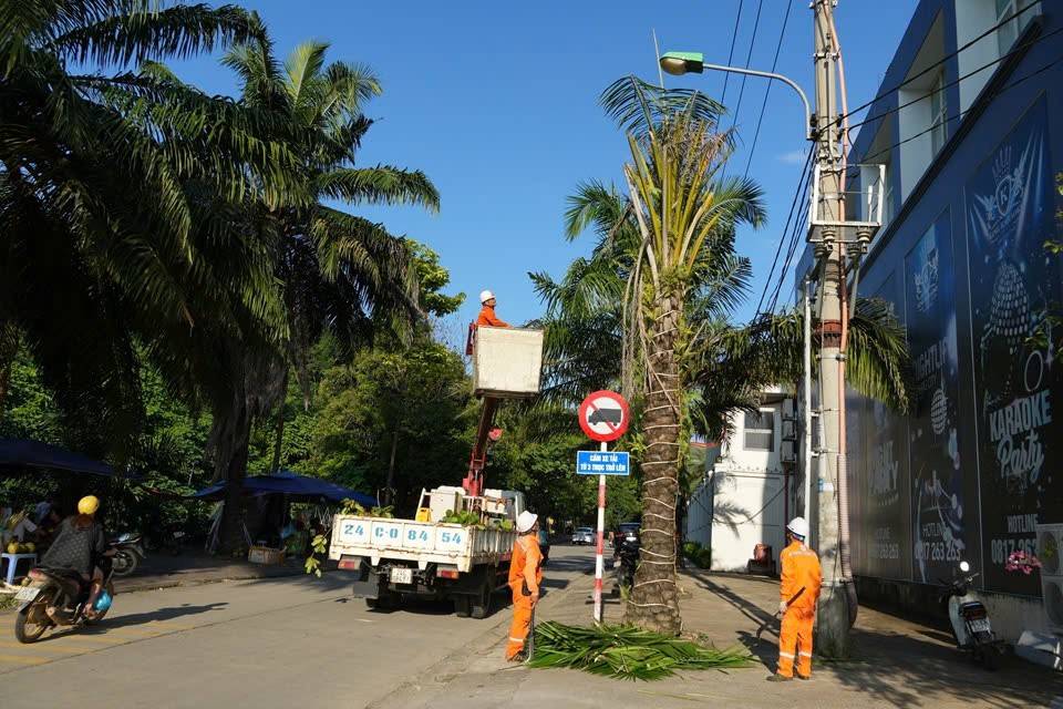 Điện lực Lào Cai ra phương án đảm bảo cấp điện phục vụ Festival Sông Hồng năm 2025