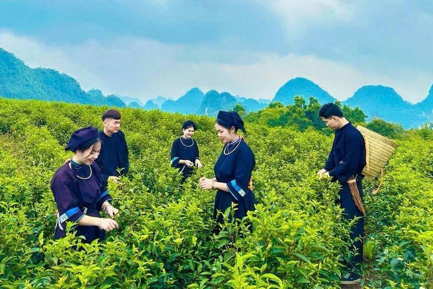 Cao Bằng: Thu ngân sách vượt kế hoạch, đạt 3.540 tỷ đồng