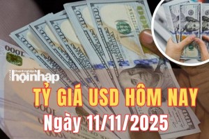 Tỷ giá USD hôm nay 11/11/2025: Đồng USD tăng nhẹ, nhà đầu tư chờ tín hiệu Mỹ mở cửa lại chính phủ