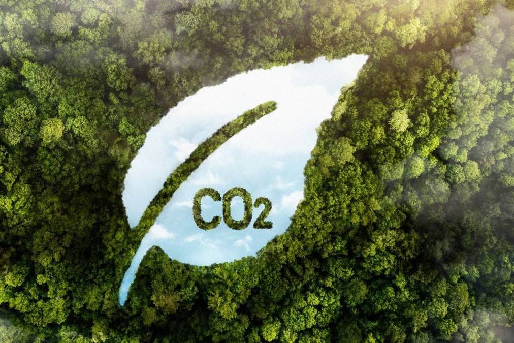 Cần kiến tạo thị trường tín chỉ carbon, bảo lãnh tín dụng xanh cho doanh nghiệp SME