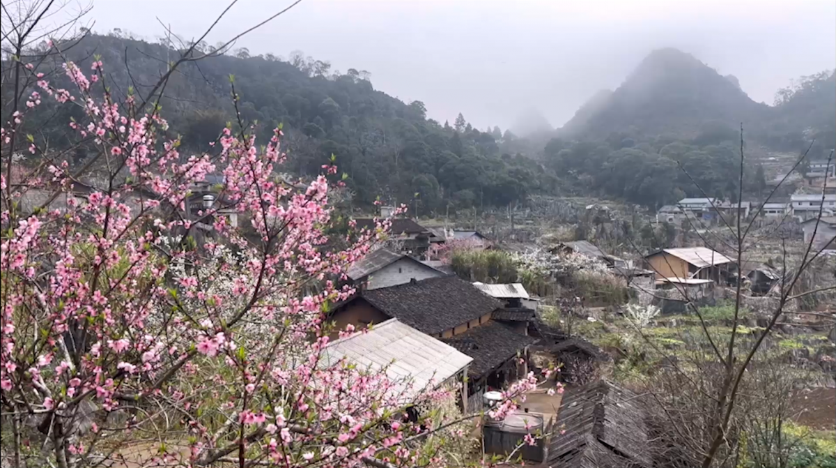 Tuyên Quang say đắm những mùa hoa