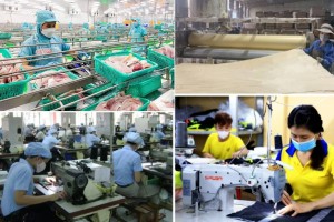 Doanh nghiệp tư nhân lớn trở thành điểm sáng của tăng trưởng