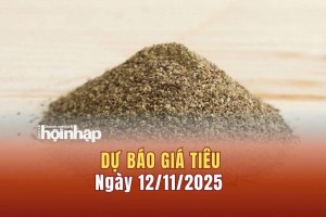 Dự báo giá tiêu 12/11: Tiêu trong nước neo cao, thế giới tăng "vọt"