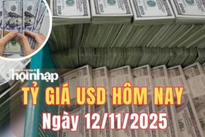 Tỷ giá USD hôm nay 12/11/2025: Đồng USD đảo chiều giảm nhẹ