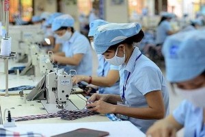 Khai thác “mỏ vàng” RCEP và EVFTA: Hàng Việt bứt phá trên bản đồ thương mại toàn cầu