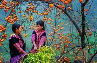 Mộc Châu mới khiến họ cảm nhận được sự “ngọt ngào trong từng khoảnh khắc”.