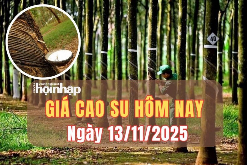 Giá cao su hôm nay 13/11/2025: Giá cao su trong nước đi ngang, thế giới đồng loạt tăng 