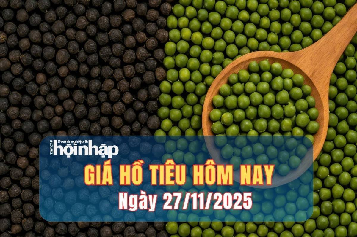 Giá tiêu hôm nay 27/11/2025: Tăng mạnh lên 150.000 đồng/kg, thị trường giữ nhịp tích cực cuối năm
