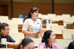 ĐBQH kiến nghị quy trình, tiêu chí thu hút nhân tài khu vực tư vào khu vực công