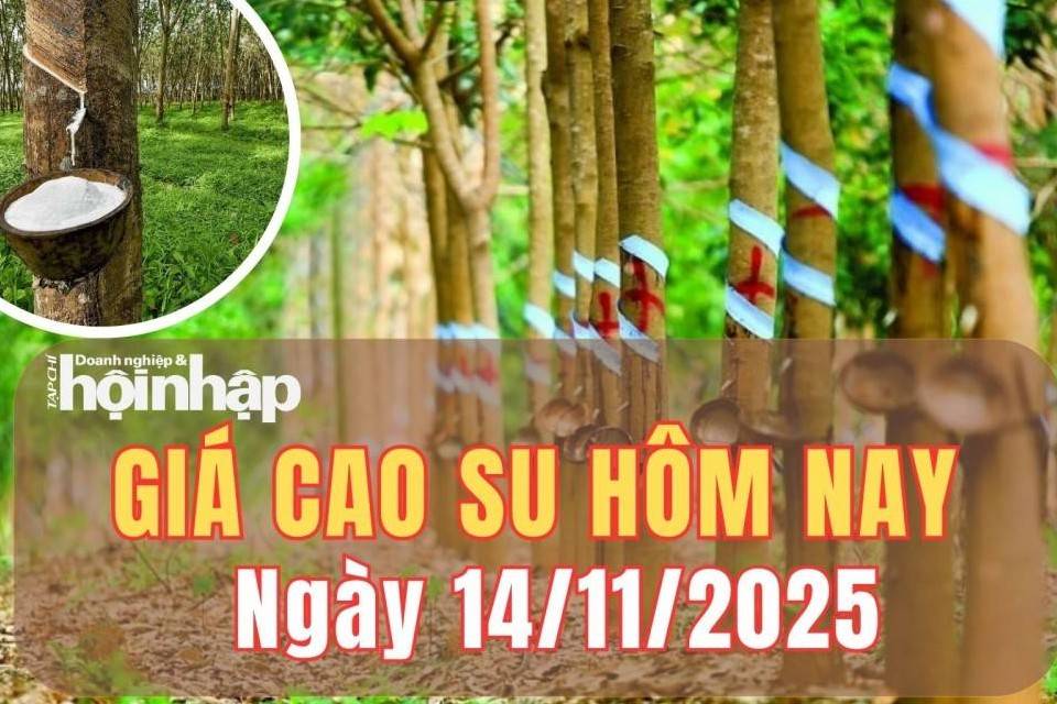 Giá cao su hôm nay 14/11/2025: Giá cao su thế giới tiếp đà tăng nhờ đồng yên yếu và nhu cầu ô tô điện