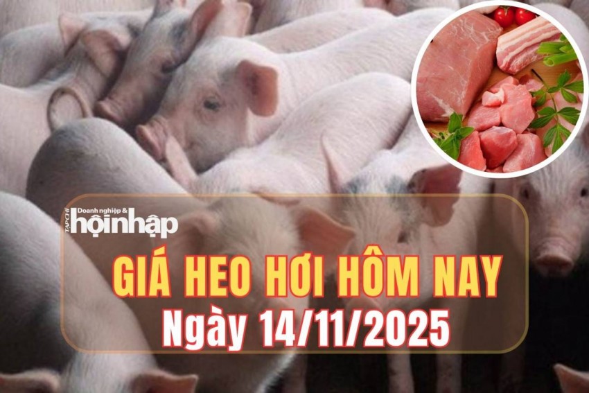 giá heo hơi
