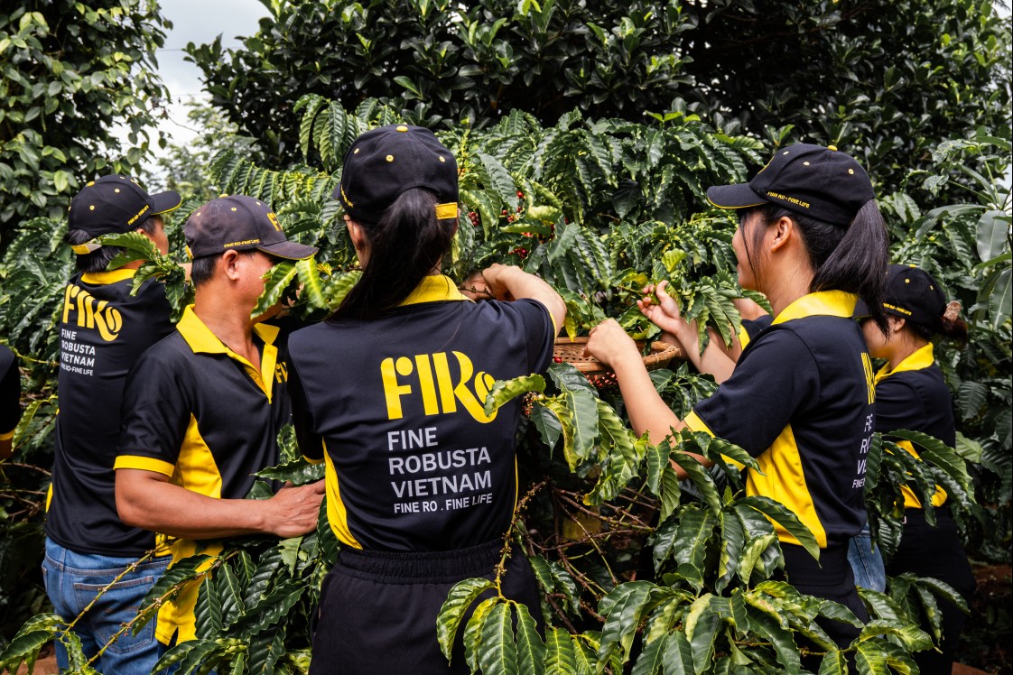 SMEs đổi mới sáng tạo: Từ startup địa phương đến doanh nghiệp chuỗi