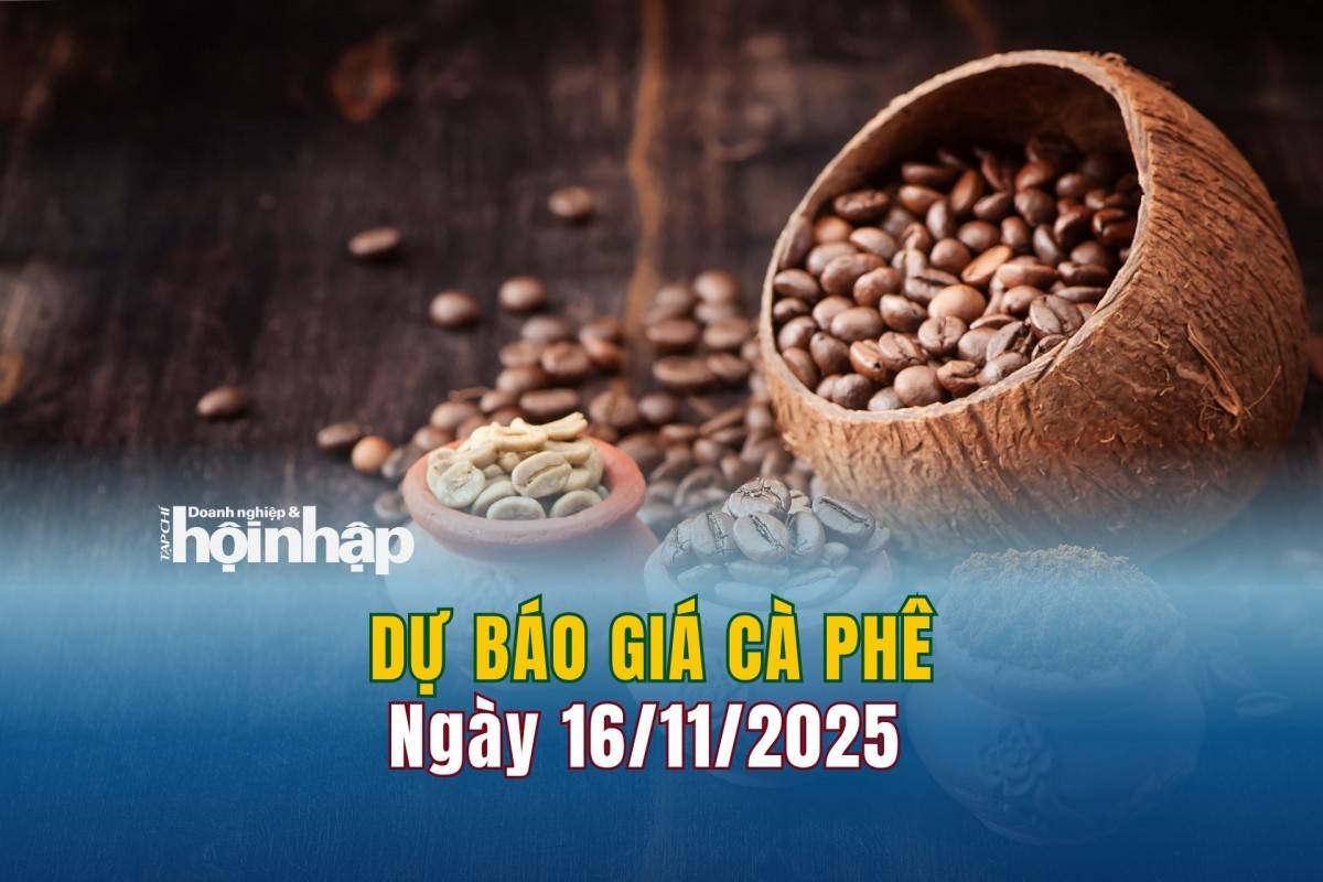 Dự báo giá cà phê 16/11/2025