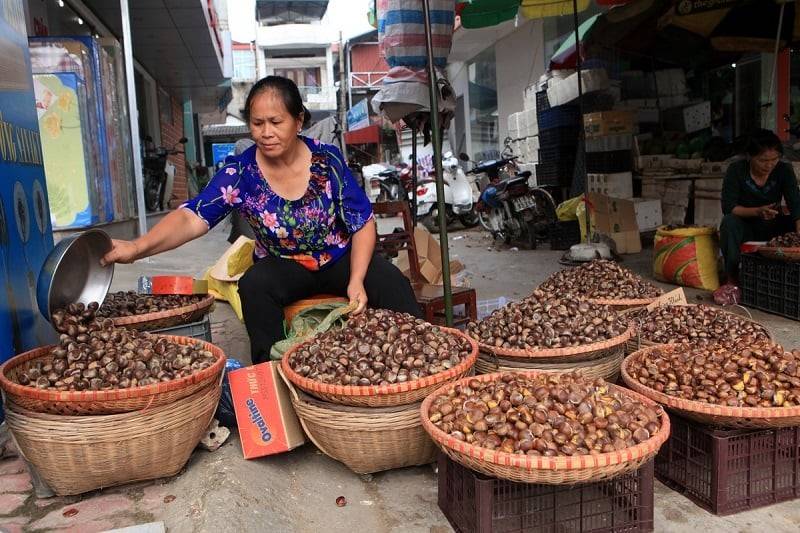 Cao Bằng miền biên viễn “đốn tim” giới trẻ bằng vẻ đẹp hoang sơ và hùng vĩ