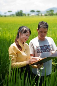 BAC A BANK trợ lực cùng các cá nhân sản xuất kinh doanh ngành lúa gạo