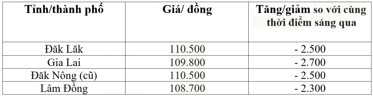 Bảng giá cà phê trong nước hôm nay 16/11/2025