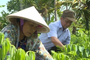 Khai thông nguồn lực tuổi già – Đặt nền móng cho kinh tế bạc trong kỷ nguyên mới