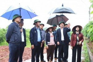 Bắc Ninh: Thúc đẩy mô hình nông nghiệp chất lượng cao tại Phúc Hòa và Tân Yên