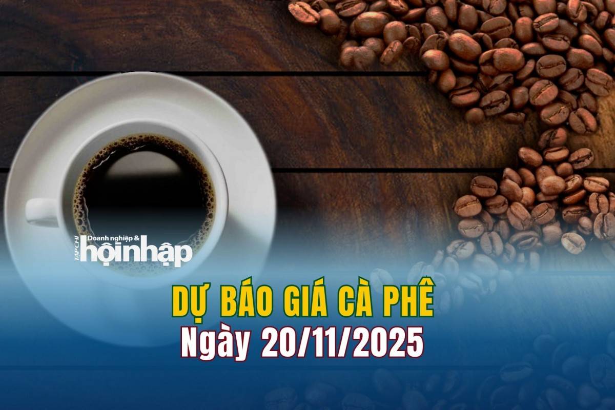 Dự báo giá cà phê 20/11/2025