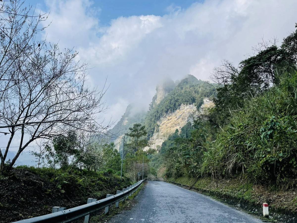 Du khách tìm lên mùa mây Tuyên Quang đẹp như giấc mơ trắng đầu đông