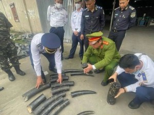 Chiến dịch Con rồng Mê Kông 7: Tăng cường phòng chống tội phạm xuyên quốc gia