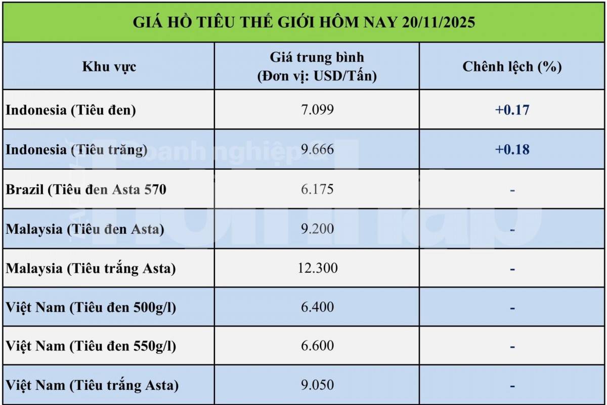 Giá tiêu hôm nay 20/11/2025: