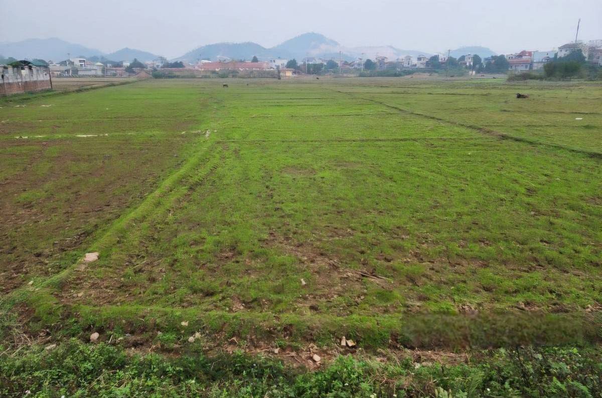 Sau gần một năm cưỡng chế, Công ty Nam Quang nhận hơn 7,3ha đất để triển khai dự án