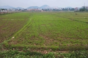 Sau gần một năm cưỡng chế, Công ty Nam Quang nhận hơn 7,3ha đất để triển khai dự án