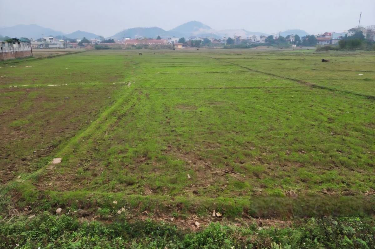 Sau gần một năm cưỡng chế, Công ty Nam Quang nhận hơn 7,3ha đất để triển khai dự án