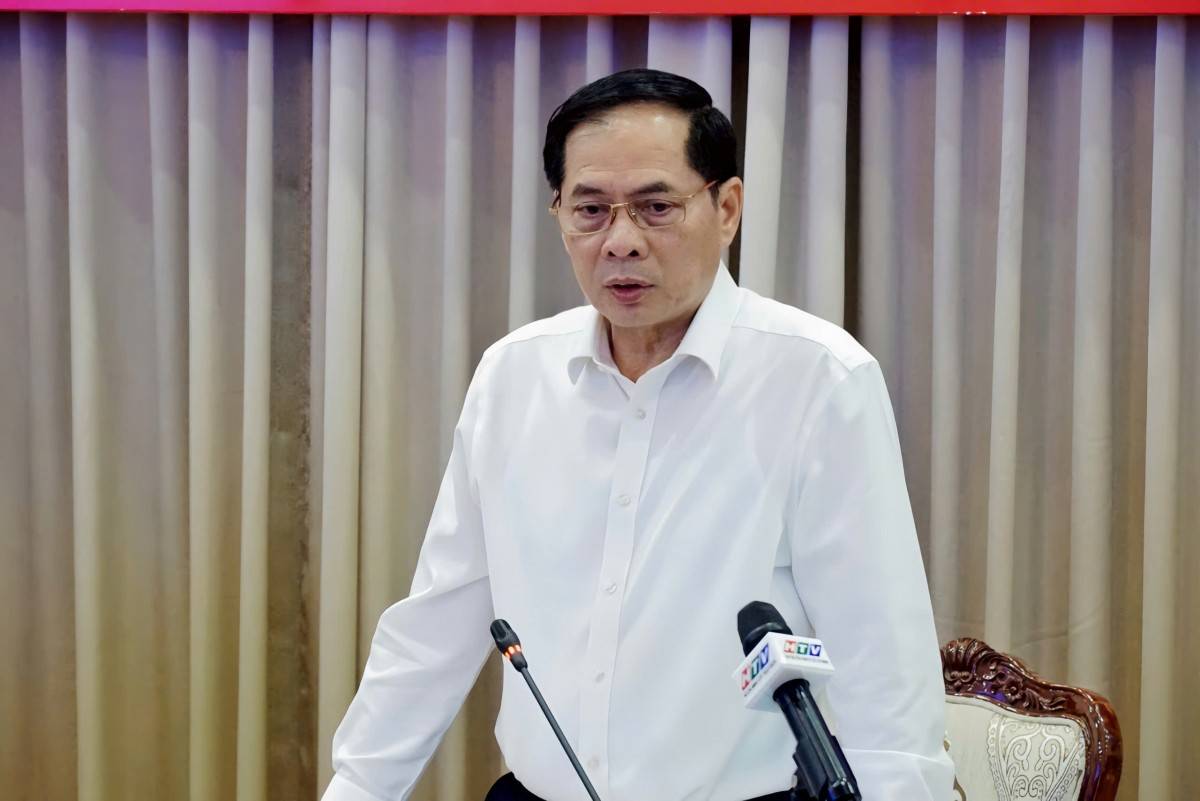 Phó Thủ tướng Chính phủ Bùi Thanh Sơn 