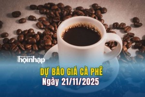 Dự báo giá cà phê 21/11: Cà phê trong nước "quay xe" giảm