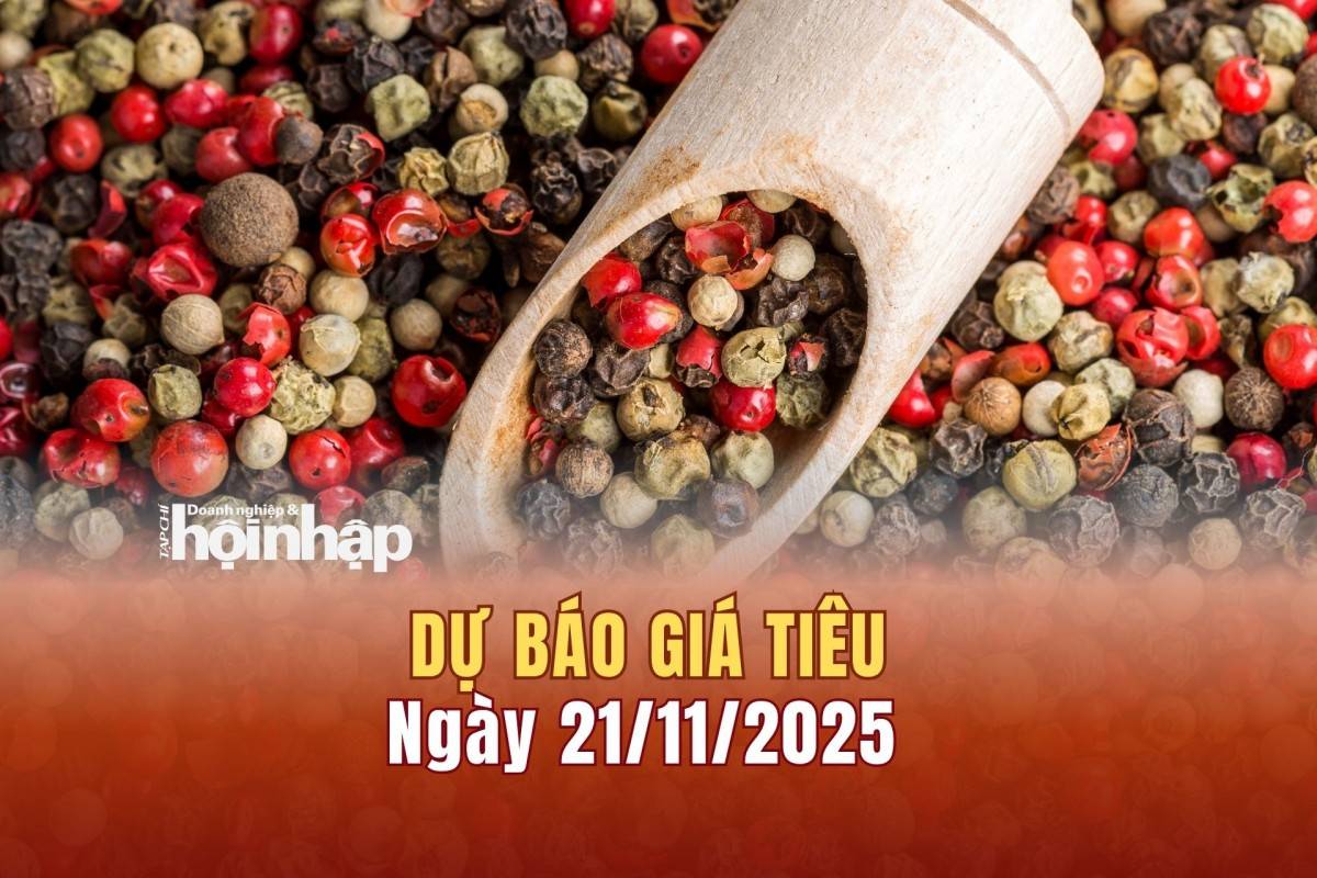 Dự báo giá tiêu 21/11/2025