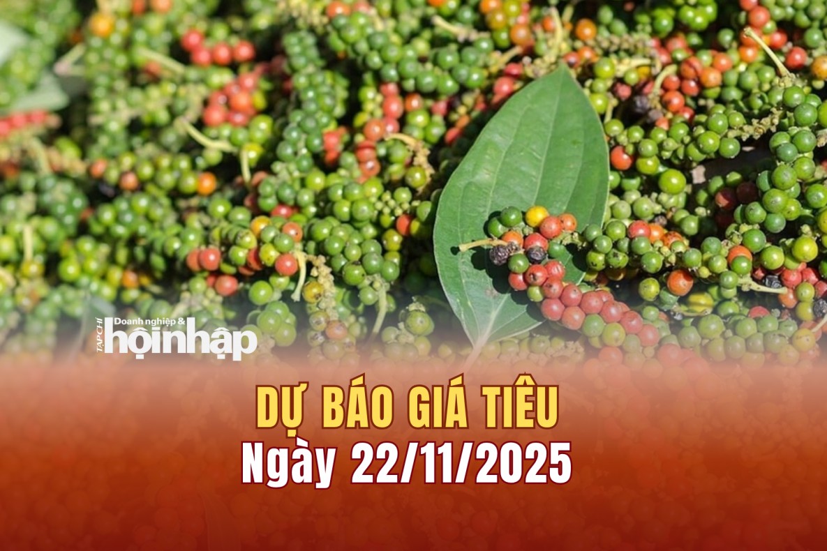 Dự báo giá tiêu 22/11: Tiêu trong nước và thế giới đồng loạt tăng cao