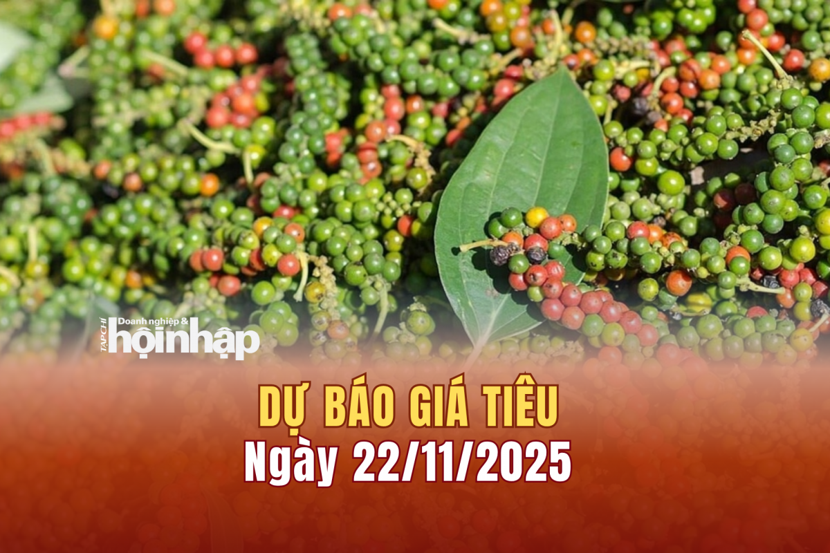 Dự báo giá tiêu 22/11/2025