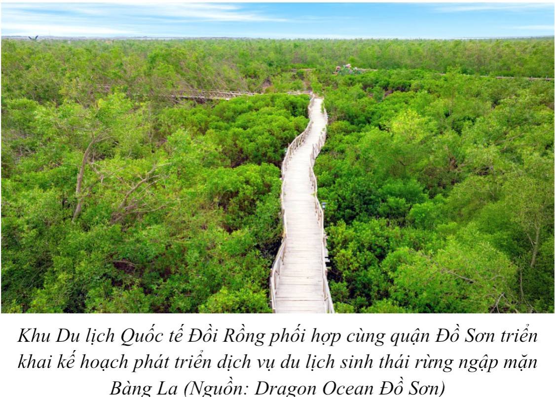 Khu du lịch Quốc tế Đồi Rồng: Xuất hiện nhiều trải nghiệm du lịch mới, sẵn sàng chào đón mùa lễ hội 2025