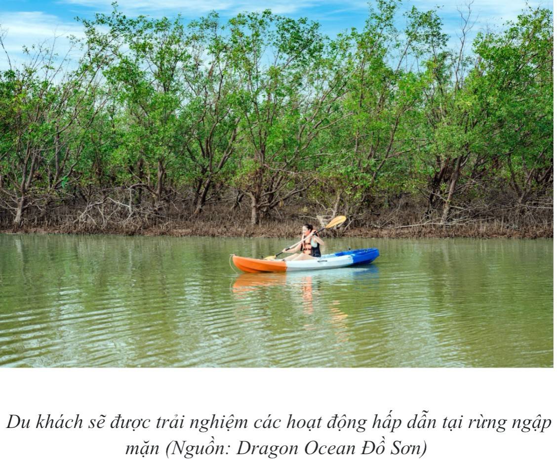 Khu du lịch Quốc tế Đồi Rồng: Xuất hiện nhiều trải nghiệm du lịch mới, sẵn sàng chào đón mùa lễ hội 2025