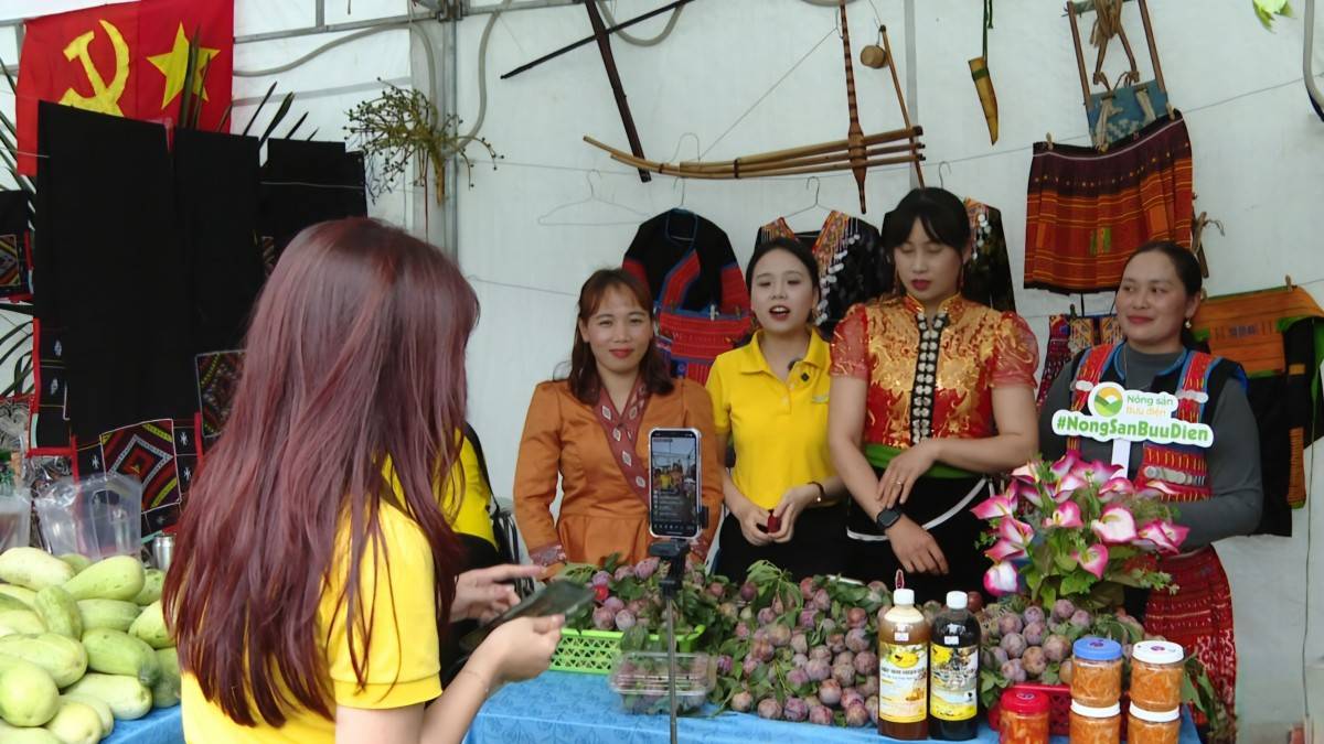 Sơn La: Hỗ trợ doanh nghiệp, hợp tác xã đưa nông sản lên sàn thương mại điện tử
