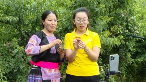 Sơn La: Hỗ trợ doanh nghiệp, hợp tác xã đưa nông sản lên sàn thương mại điện tử