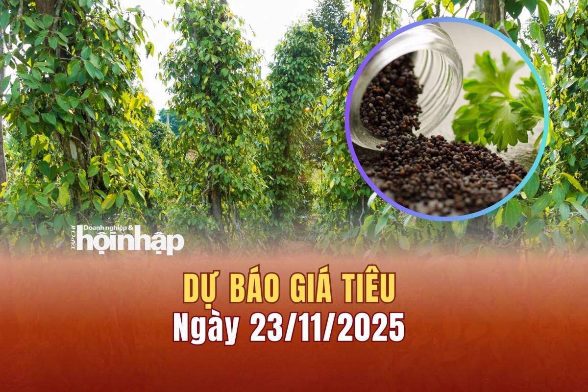 Dự báo giá tiêu 23/11/2025