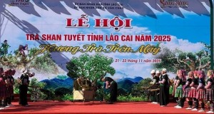 Di sản trà Shan tuyết Suối Giàng nổi bật tại Lễ hội trà Lào Cai năm 2025