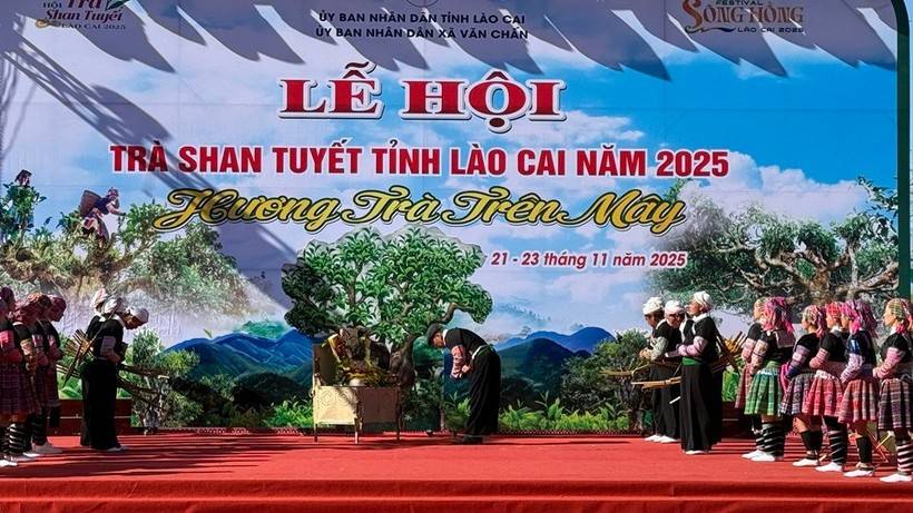 Di sản trà Shan tuyết Suối Giàng nổi bật tại Lễ hội trà Lào Cai năm 2025