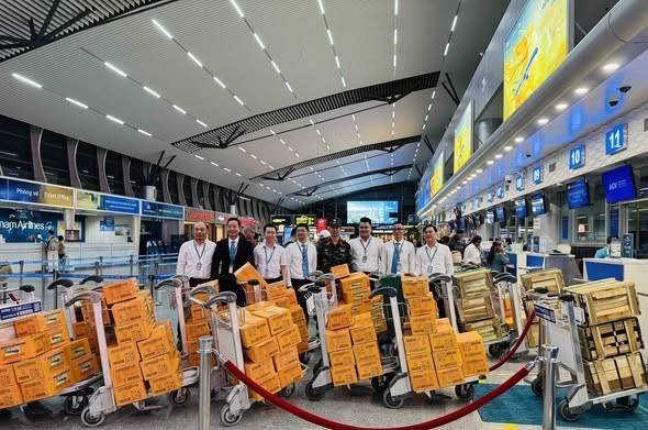 TP. Hồ Chí Minh hỗ trợ 50 tỷ đồng giúp Khánh Hòa vượt qua hậu quả lũ lụt