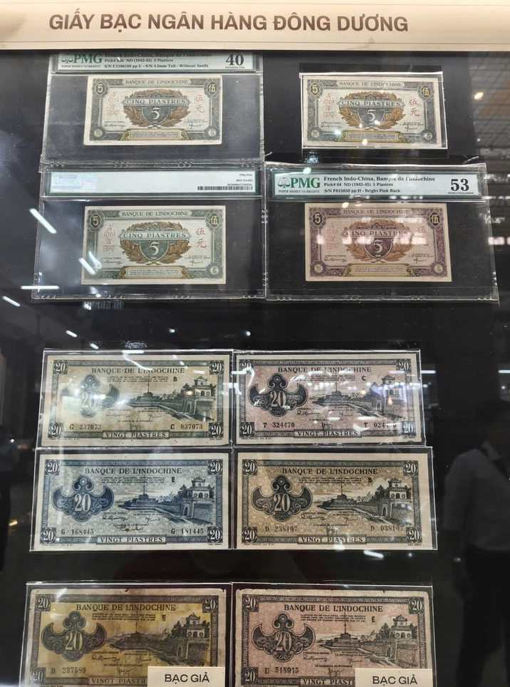 Trưng bày bộ sưu tập tiền Việt Nam quy mô lớn tại TP. Hồ Chí Minh