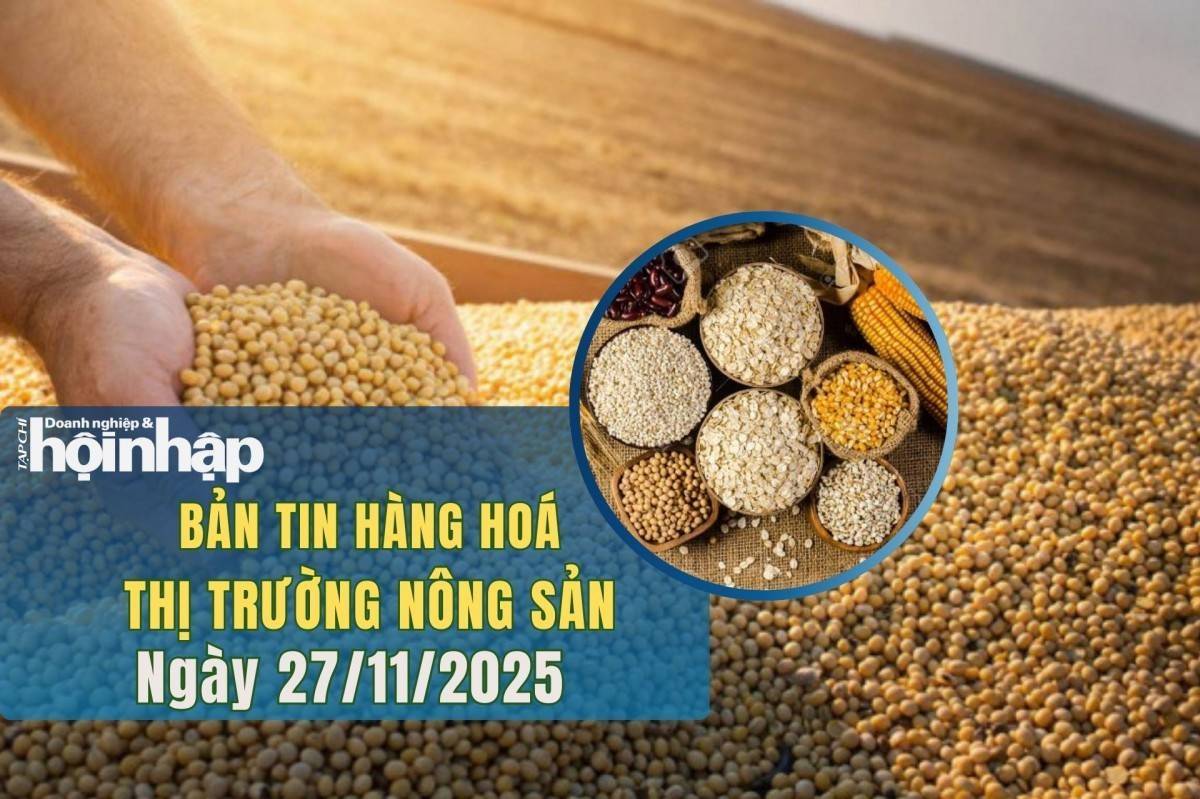 Thị trường nhóm nông sản 27/11/2025: Lúa mì, ngô và đậu tương cùng tăng nhẹ