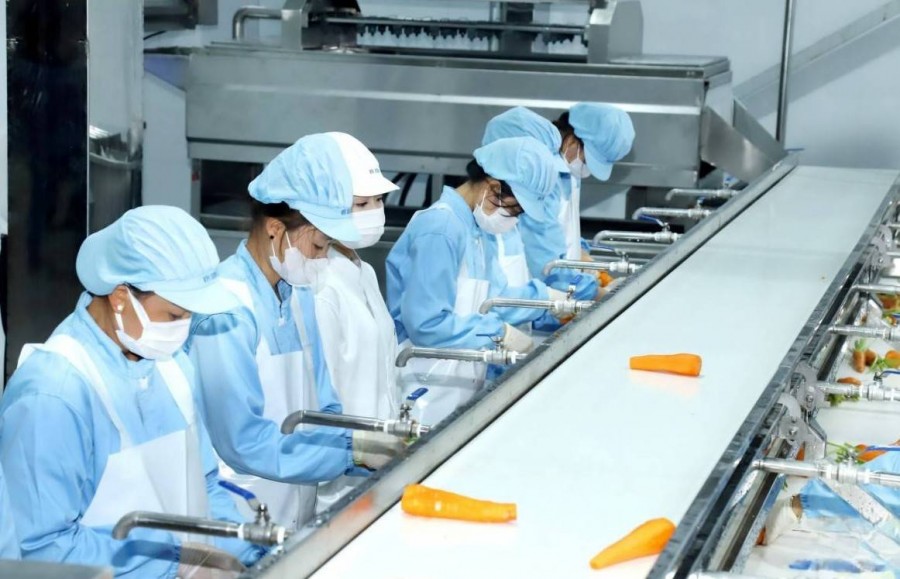 Sơn La bứt tốc thu hút đầu tư nông nghiệp công nghệ cao