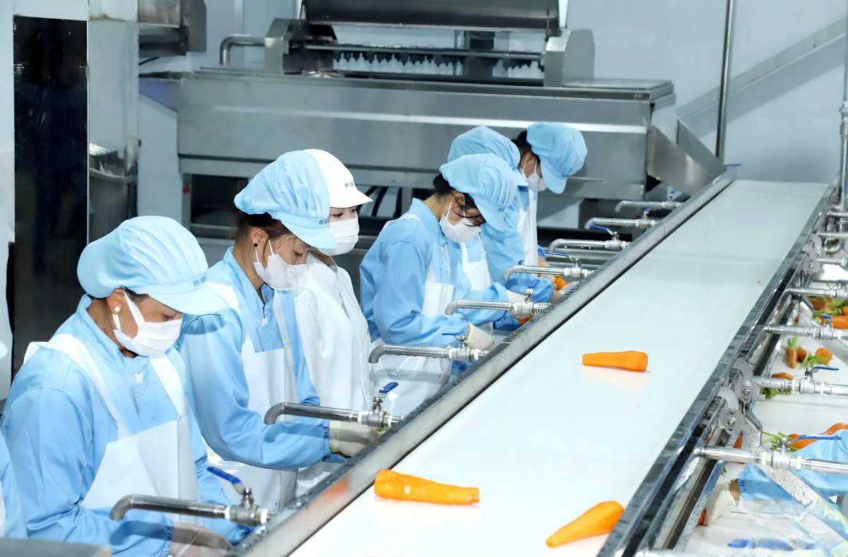 Sơn La bứt tốc thu hút đầu tư nông nghiệp công nghệ cao